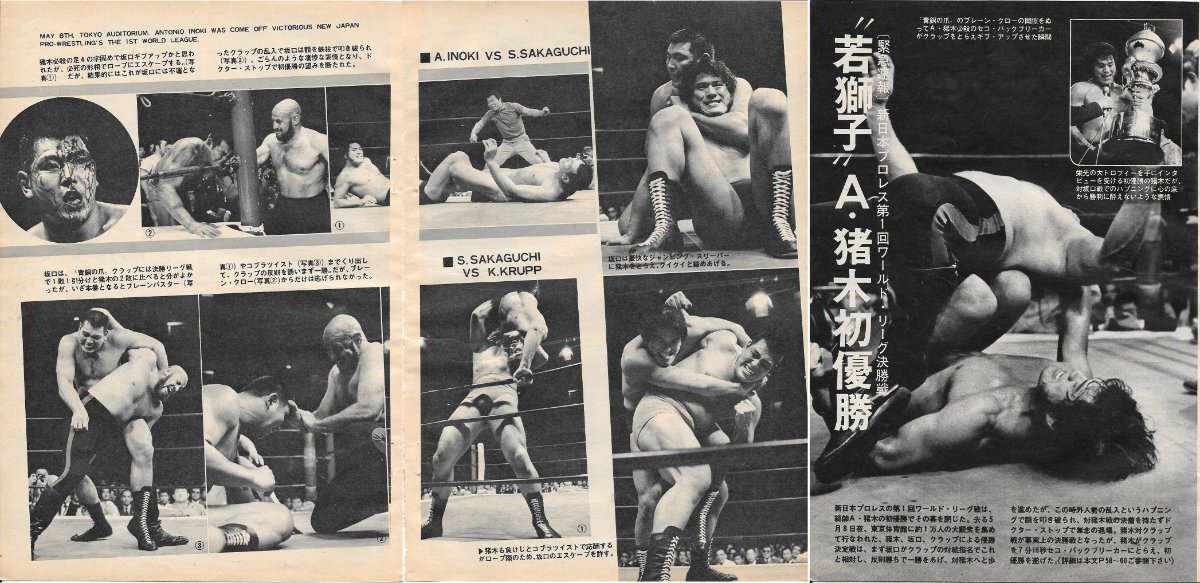 Finding The Way: From Young Lion to Grand Master - Monthly Puroresu